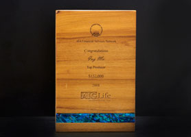 2008 AIA Top Producer 152k Award
