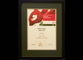 2009 AIA Distinction Programme CEO Club