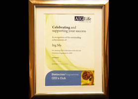 2009 AIG Life Outstanding Achievement Award