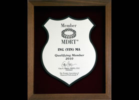 2010 MDRT Qualifying Member